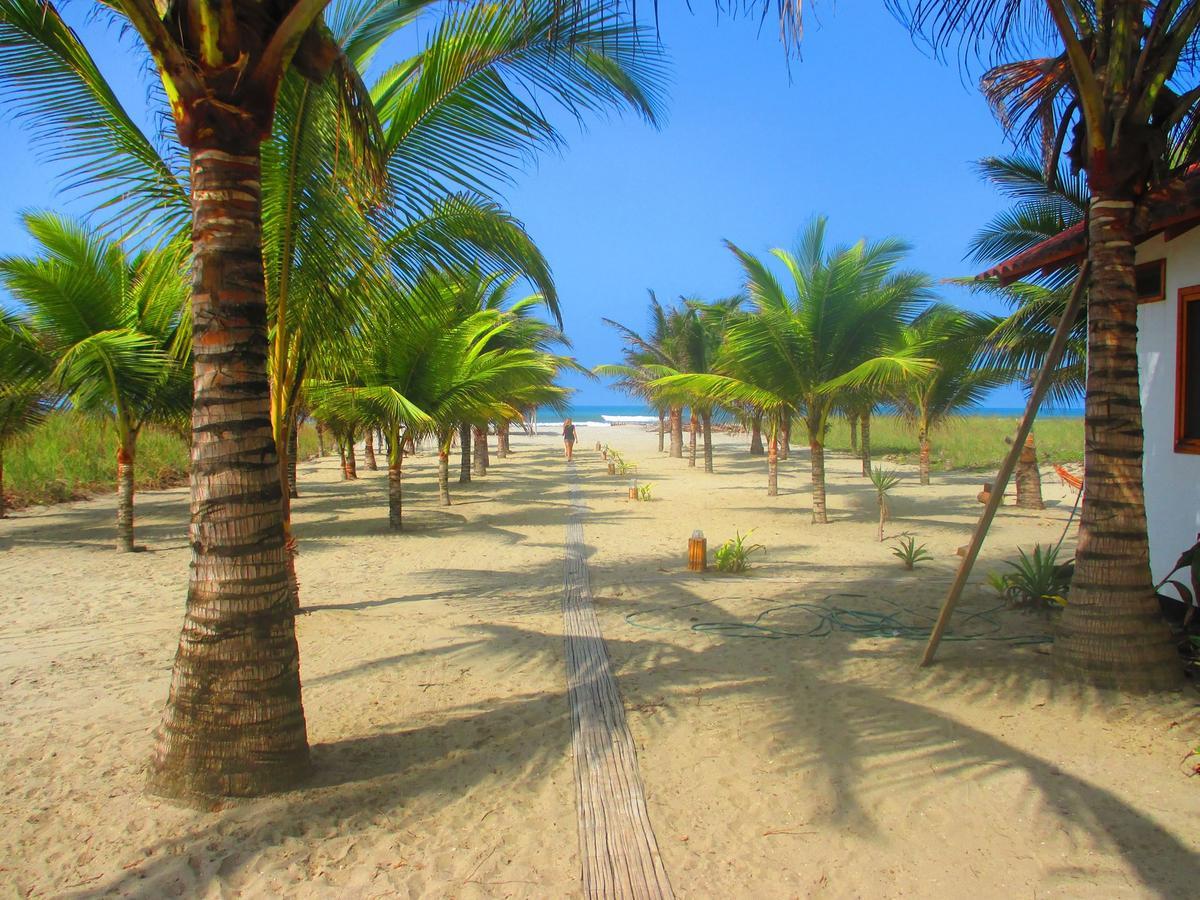 Beach Front Bungalows At The Coconut Canoa Eksteriør bilde